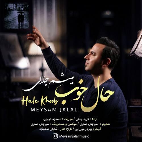 میثم جلالی حال خوب